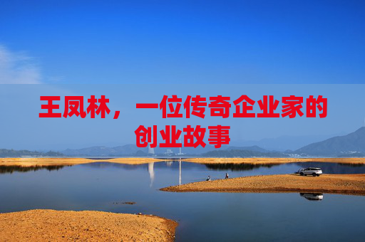 王凤林，一位传奇企业家的创业故事