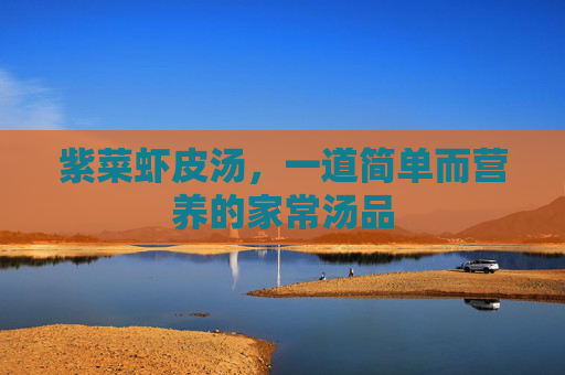紫菜虾皮汤,一道简单而营养的家常汤品 紫菜虾皮汤,一道简单而营养的家常汤品
