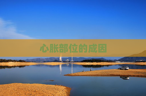 心胀部位的成因