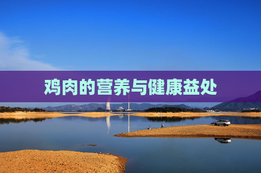 鸡肉的营养与健康益处