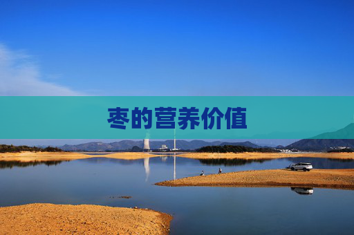 枣的营养价值 枣的营养价值