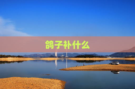 鸽子补什么