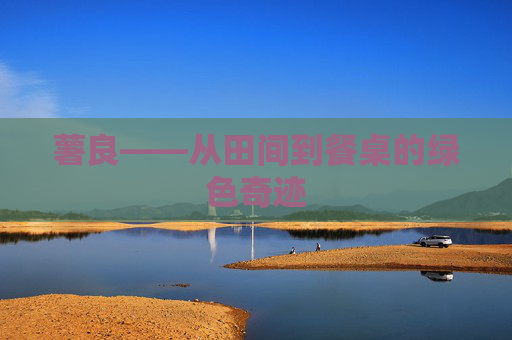 薯良——从田间到餐桌的绿色奇迹 薯良——从田间到餐桌的绿色奇迹