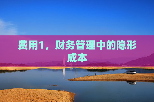 费用1,财务管理中的隐形成本 费用1,财务管理中的隐形成本