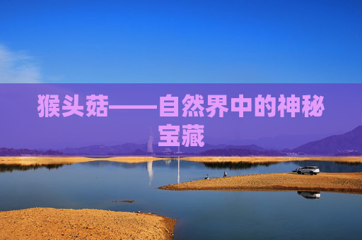 猴头菇——自然界中的神秘宝藏 猴头菇——自然界中的神秘宝藏