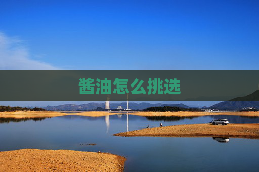 酱油怎么挑选