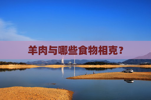羊肉与哪些食物相克? 羊肉与哪些食物相克?