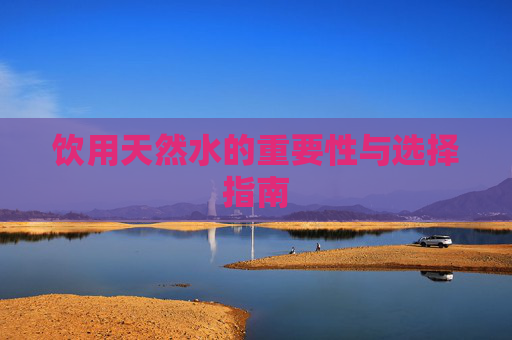 饮用天然水的重要性与选择指南 饮用天然水的重要性与选择指南