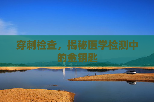 穿刺检查,揭秘医学检测中的金钥匙 穿刺检查,揭秘医学检测中的金钥匙