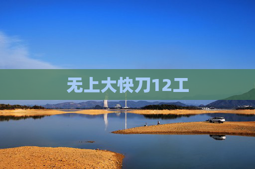 无上大快刀12工