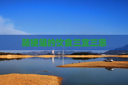 肠梗阻的饮食三宜三忌 肠梗阻的饮食三宜三忌