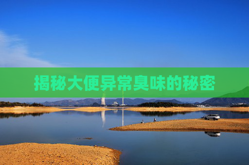 揭秘大便异常臭味的秘密 揭秘大便异常臭味的秘密