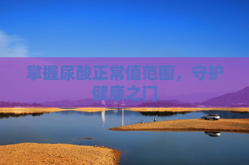 掌握尿酸正常值范围，守护健康之门