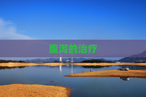 腹泻的治疗