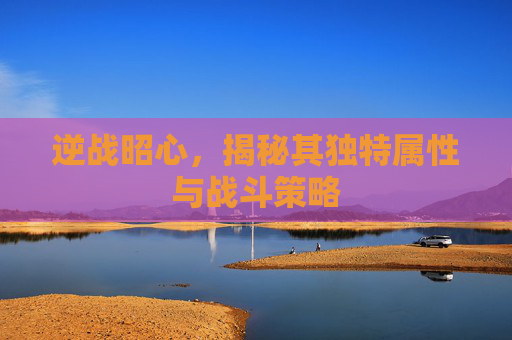 逆战昭心，揭秘其独特属性与战斗策略