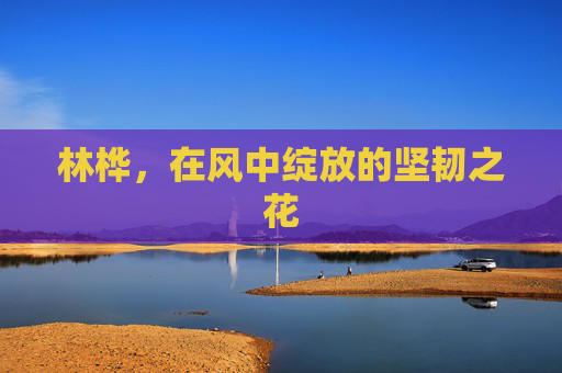 林桦,在风中绽放的坚韧之花 林桦,在风中绽放的坚韧之花