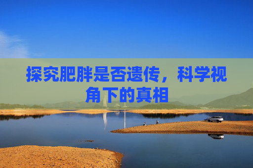 探究肥胖是否遗传,科学视角下的真相 探究肥胖是否遗传,科学视角下的真相