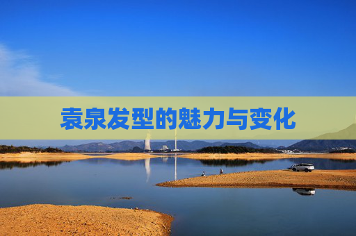 袁泉发型的魅力与变化 袁泉发型的魅力与变化