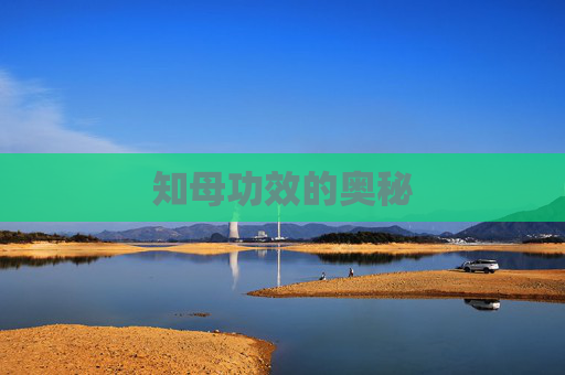 知母功效的奥秘 知母功效的奥秘