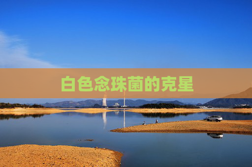 白色念珠菌的克星