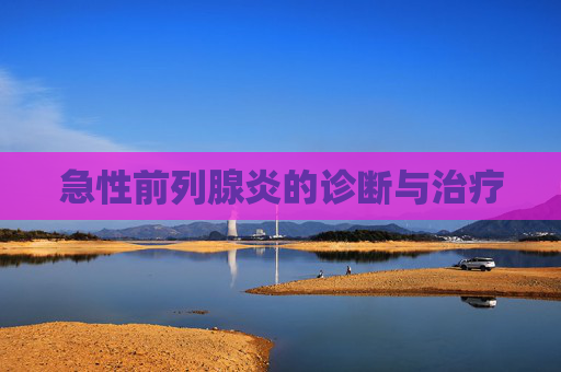 急性前列腺炎的诊断与治疗