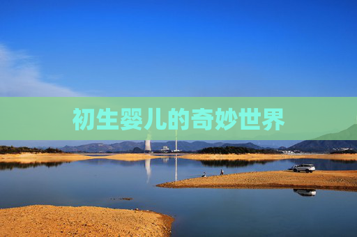 初生婴儿的奇妙世界