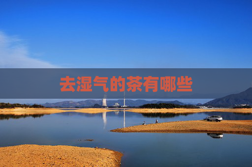 去湿气的茶有哪些