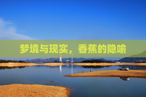 梦境与现实，香蕉的隐喻