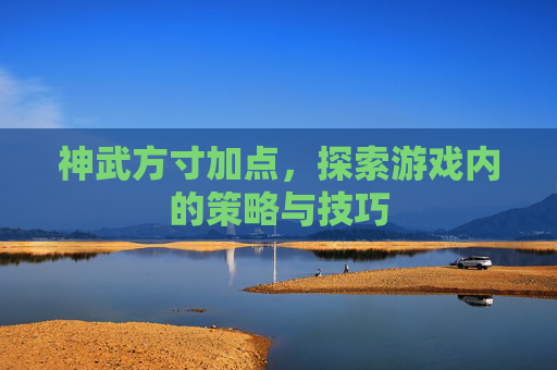 神武方寸加点，探索游戏内的策略与技巧