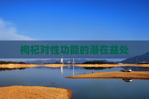 枸杞对性功能的潜在益处 枸杞对性功能的潜在益处