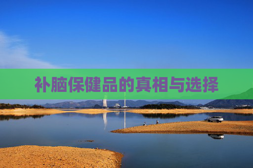 补脑保健品的真相与选择 补脑保健品的真相与选择