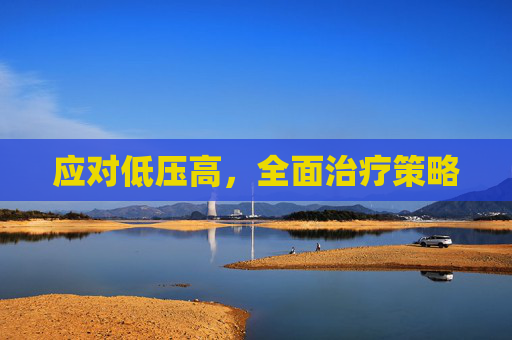 应对低压高,全面治疗策略 应对低压高,全面治疗策略