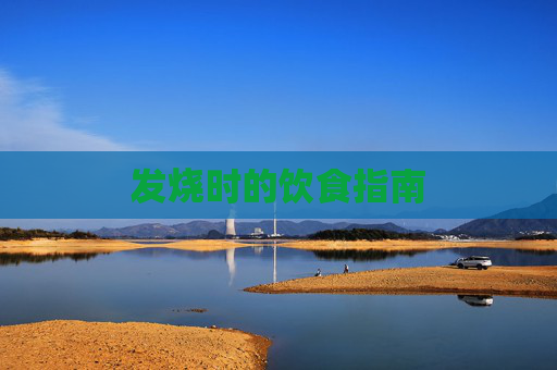 发烧时的饮食指南 发烧时的饮食指南