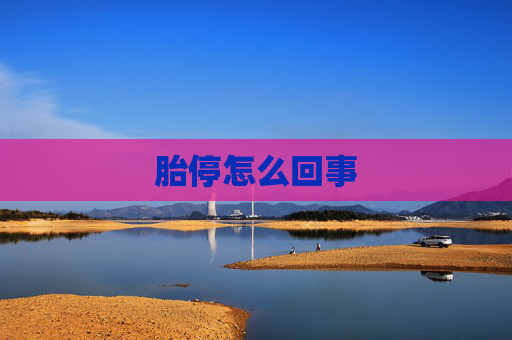 胎停怎么回事
