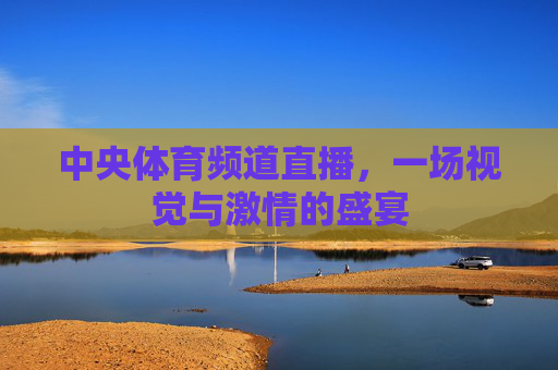 中央体育频道直播，一场视觉与激情的盛宴