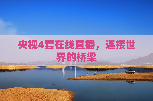 央视4套在线直播,连接世界的桥梁 央视4套在线直播,连接世界的桥梁