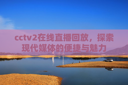 cctv2在线直播回放，探索现代媒体的便捷与魅力