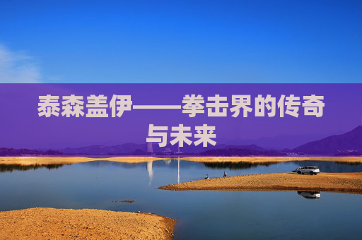 泰森盖伊——拳击界的传奇与未来