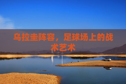 乌拉圭阵容，足球场上的战术艺术