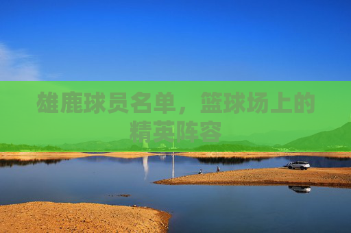 雄鹿球员名单，篮球场上的精英阵容