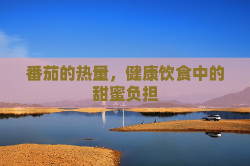 番茄的热量，健康饮食中的甜蜜负担
