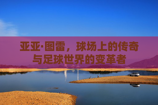 亚亚·图雷，球场上的传奇与足球世界的变革者