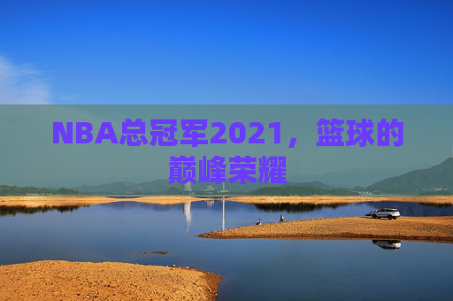 NBA总冠军2021，篮球的巅峰荣耀