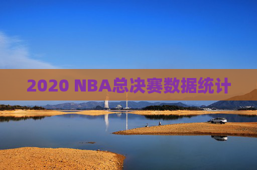 2020 NBA总决赛数据统计