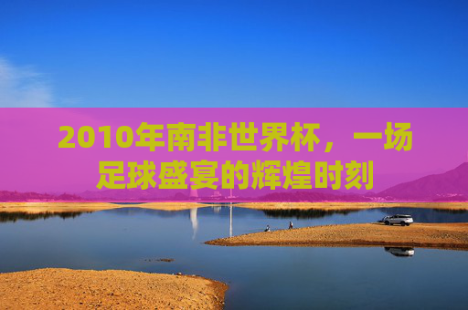 2010年南非世界杯，一场足球盛宴的辉煌时刻