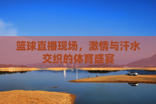 篮球直播现场，激情与汗水交织的体育盛宴