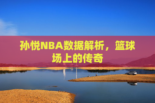 孙悦NBA数据解析，篮球场上的传奇