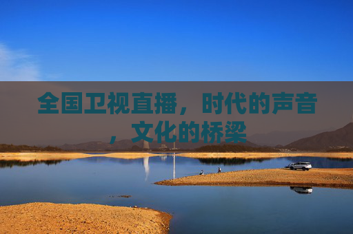 全国卫视直播，时代的声音，文化的桥梁