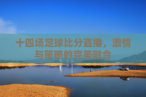 十四场足球比分直播，激情与策略的完美融合