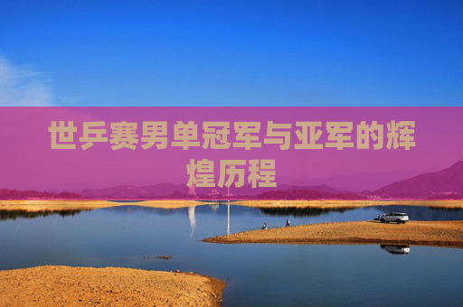 世乒赛男单冠军与亚军的辉煌历程